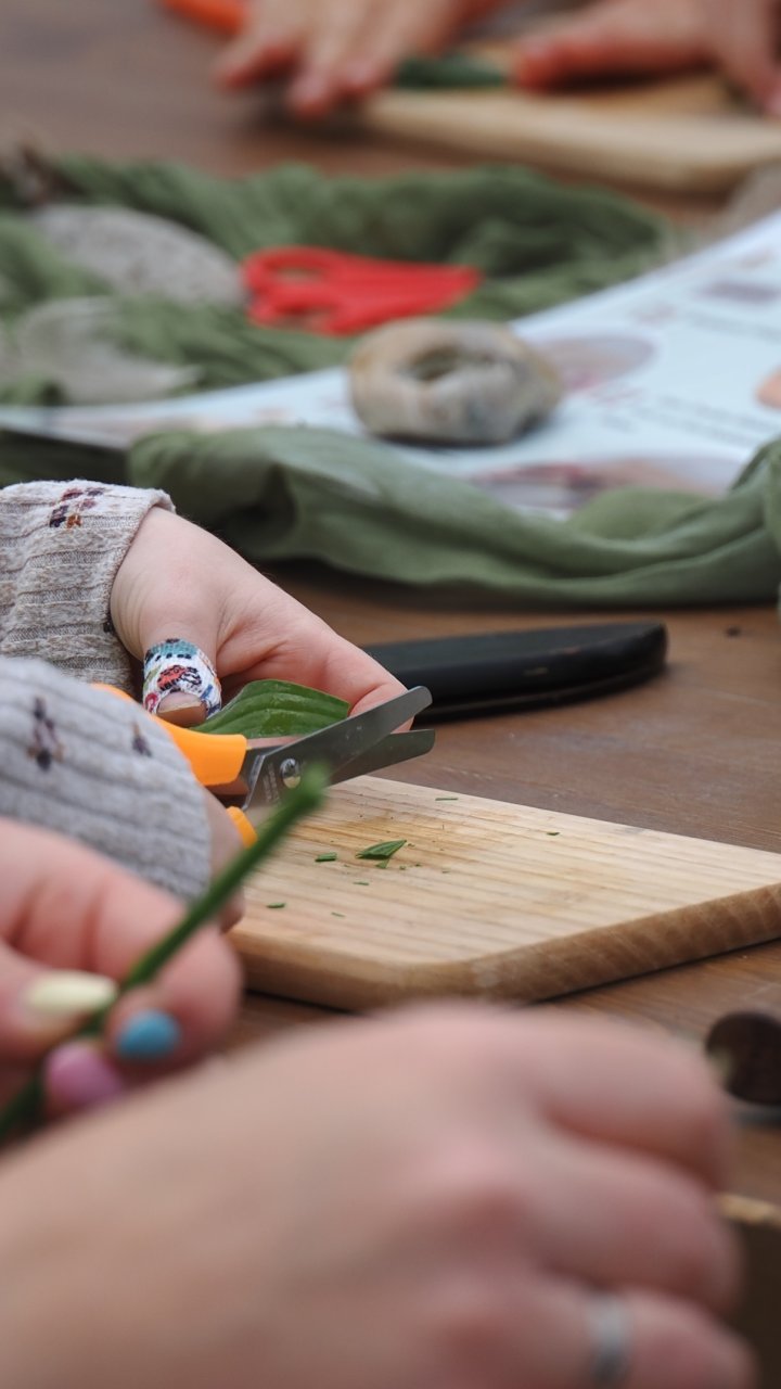 Wildkräuter Familien-Waldzeit