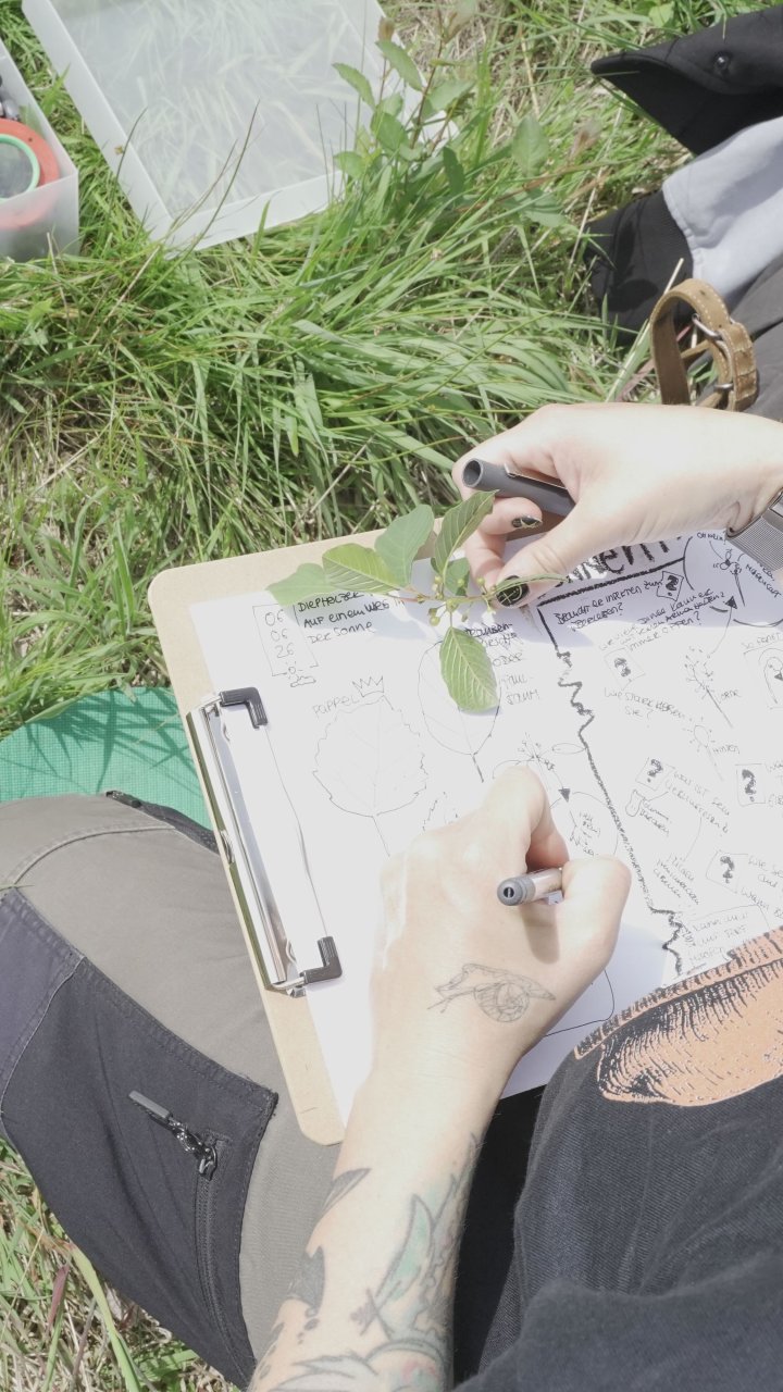 Nature Journaling