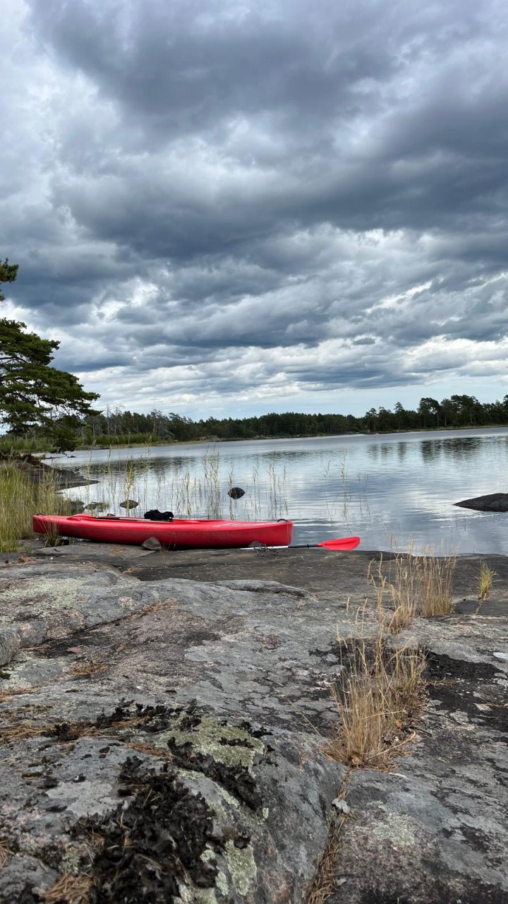 Zwischen Wasser und Wildnis