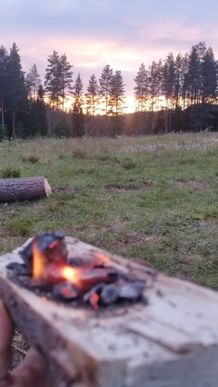 Bushcraft und Wildnispädagogik