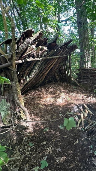 Lean-to