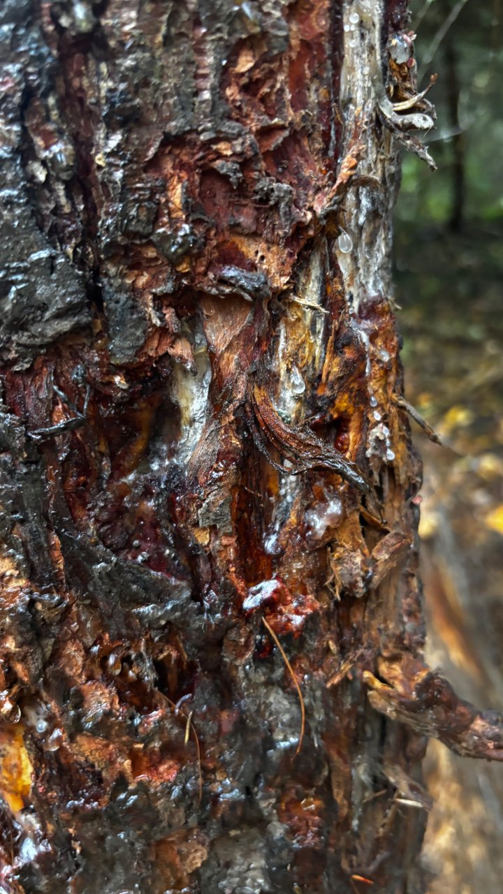 Was war hier wohl los?