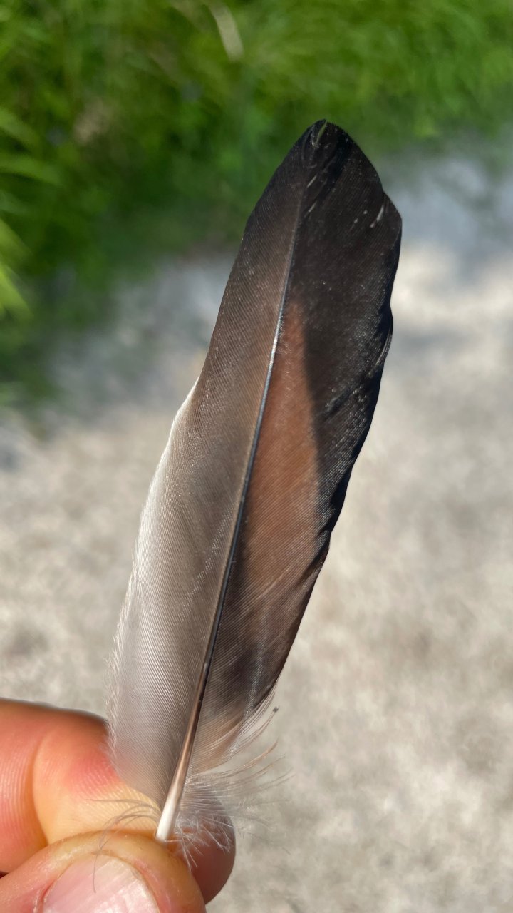 Vieles können Spuren sein,...