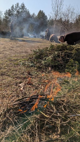 Entzünde die Flamme