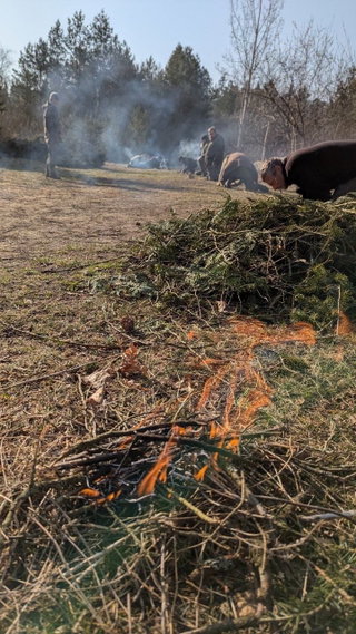 Entzünde die Flamme