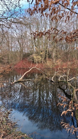 Farbenspiel