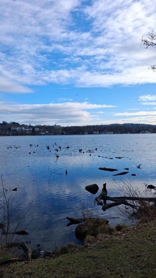 Der Baldeneysee