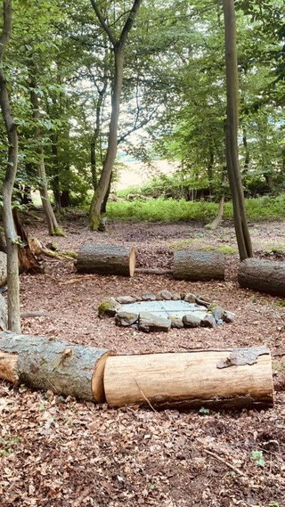 Unser Platz im Wald