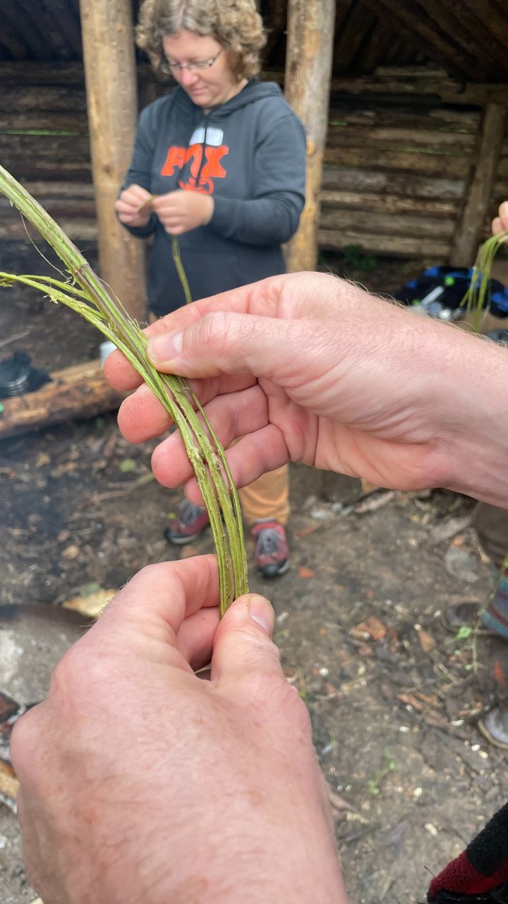 Schnüre aus Naturmaterial