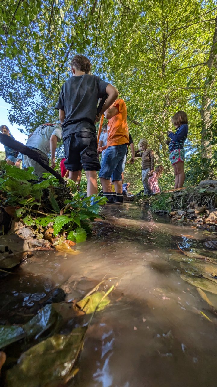 Staudamm bauen für ALLE
