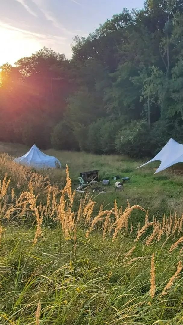 Rewild Camp