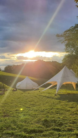REWILD CAMP