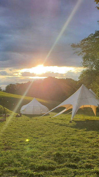 REWILD CAMP