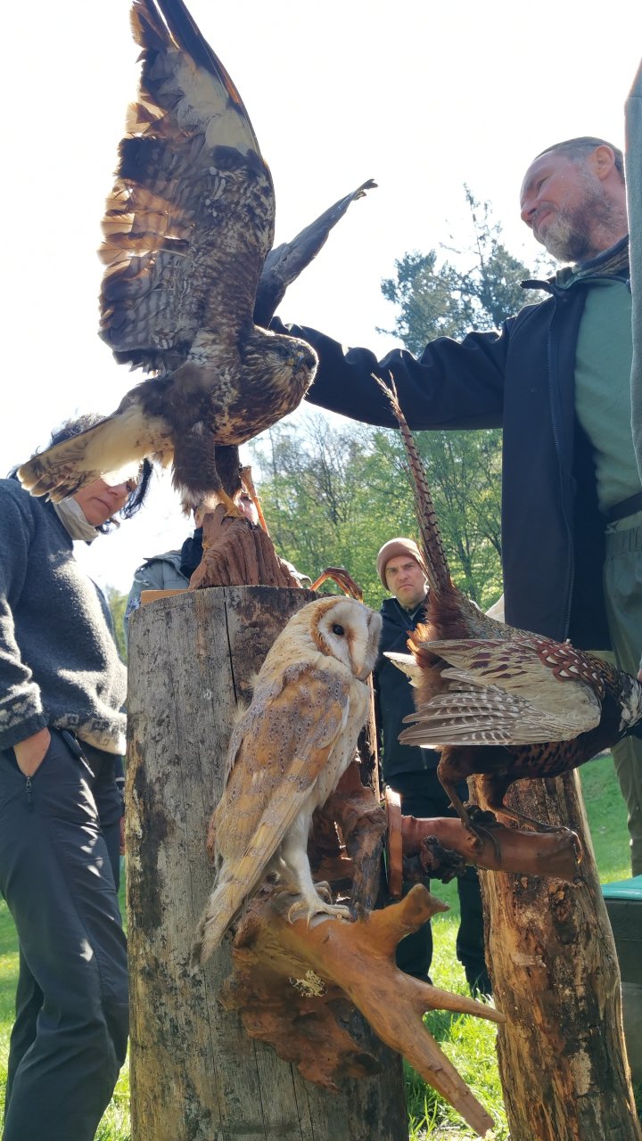 Fährtenlesen & Vogelsprache