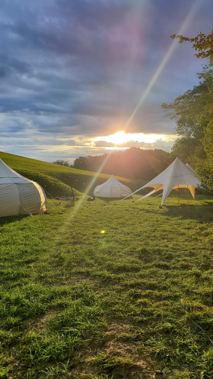 REWILD CAMP
