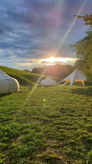 REWILD CAMP