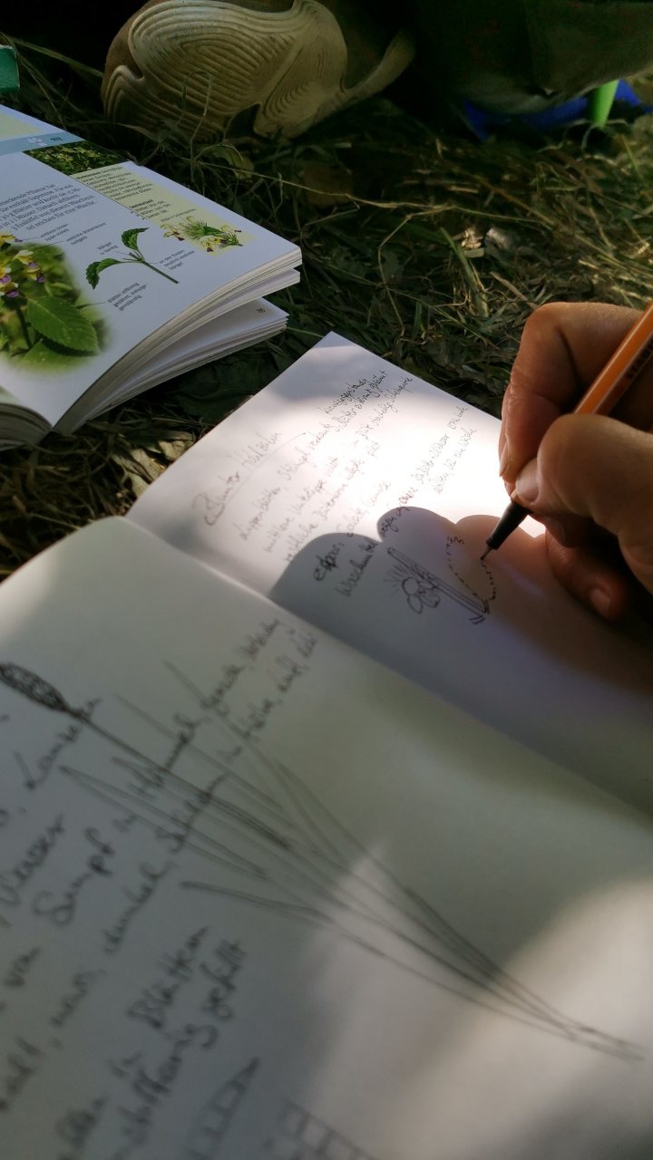 Nature Journaling