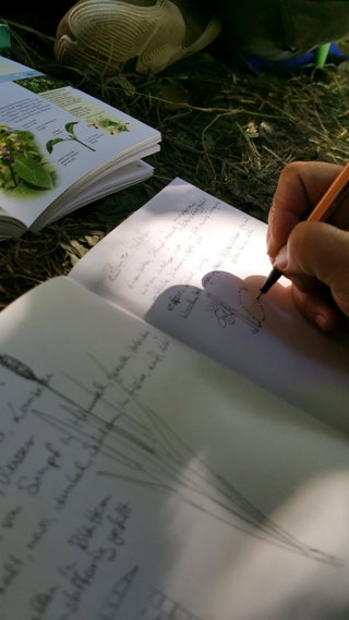 Nature Journaling