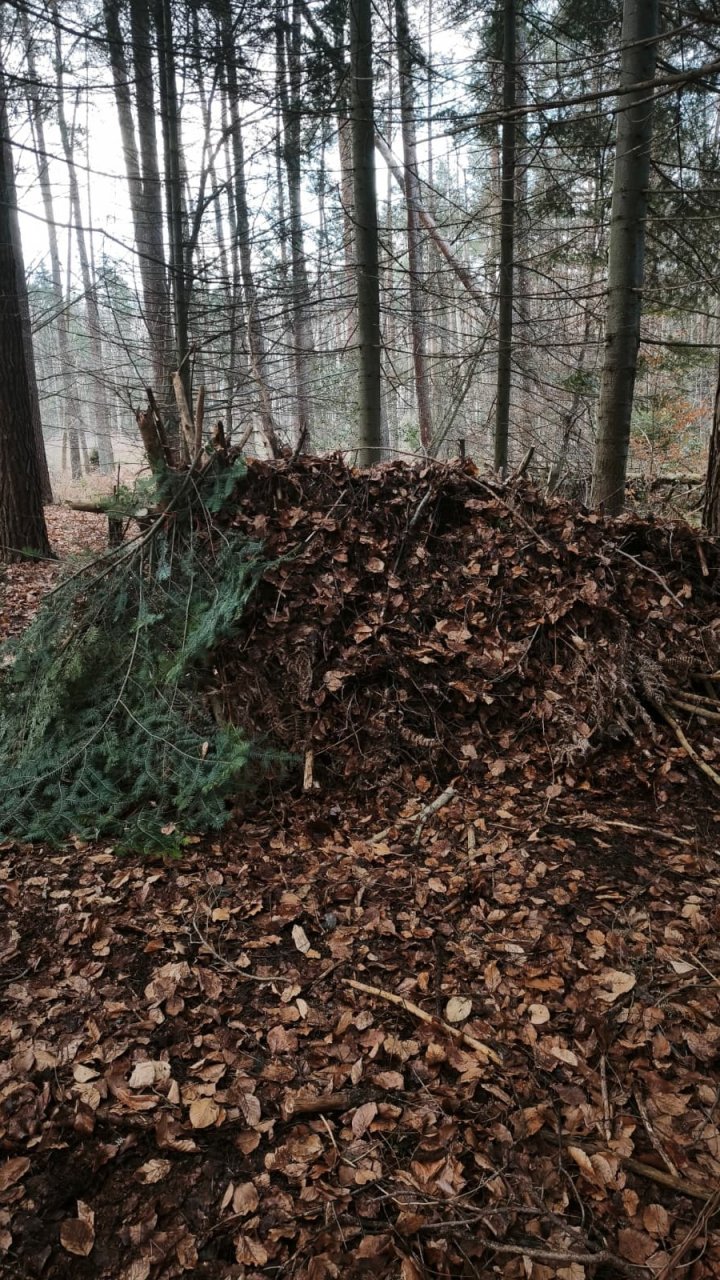 Naturshelter