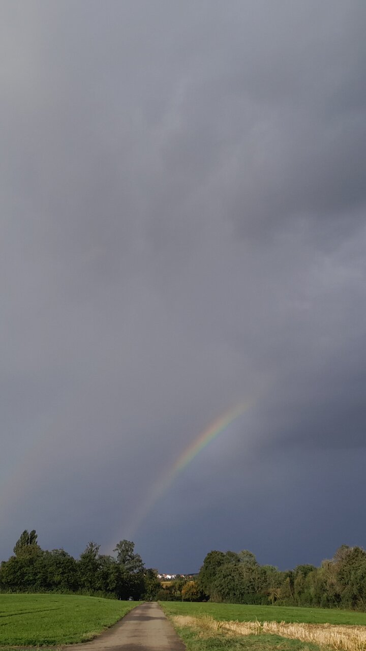 Wetterkunde