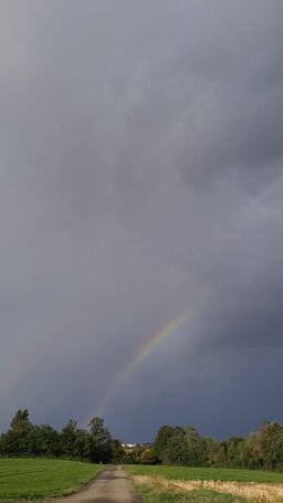 Wetterkunde