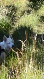 Unterwegs im Wald