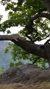 Landschaft bewusst erleben