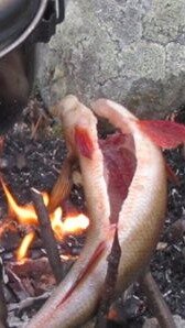 Kochen am Lagerfeuer