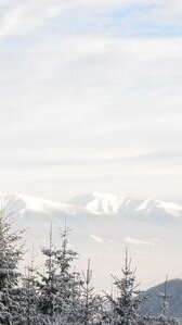 Weitblick