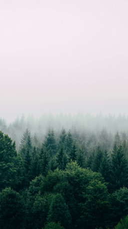 Wahrnehmung in der Natur
