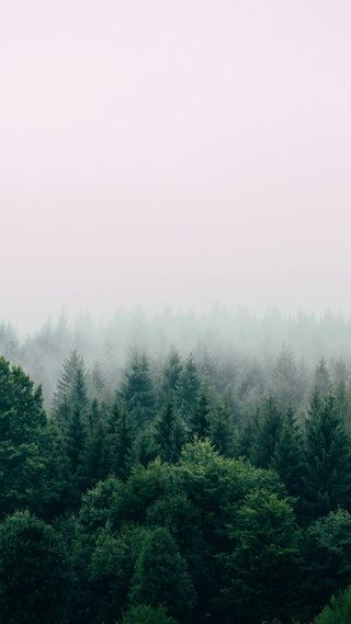Wahrnehmung in der Natur