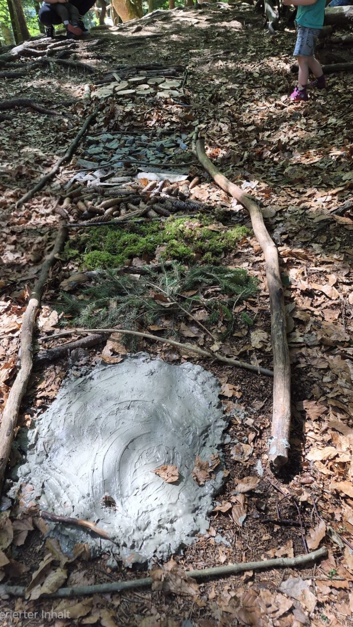 Sinneserfahrung im Wald