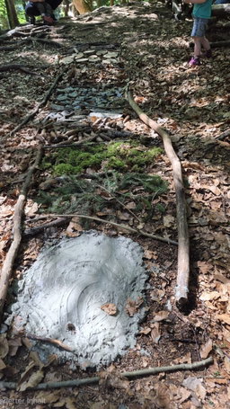 Sinneserfahrung im Wald