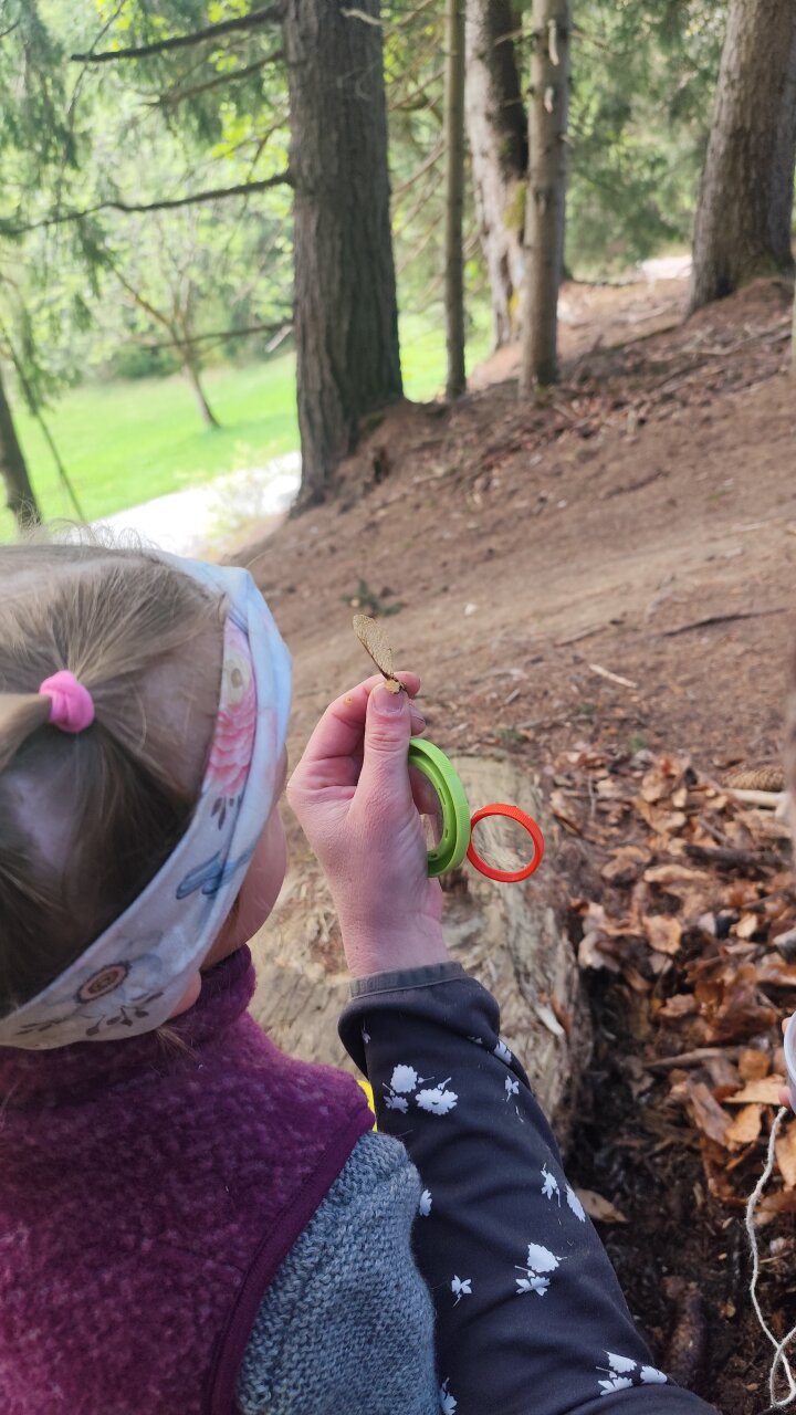 Bodenforschung