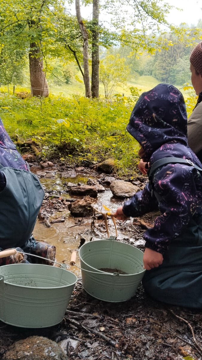 Urelement Wasser