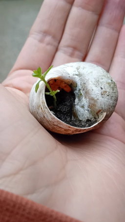Naturverbindung