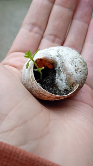 Naturverbindung