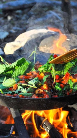 Cooking on a campfire
