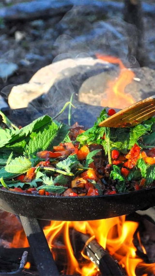 Kochen am Lagerfeuer