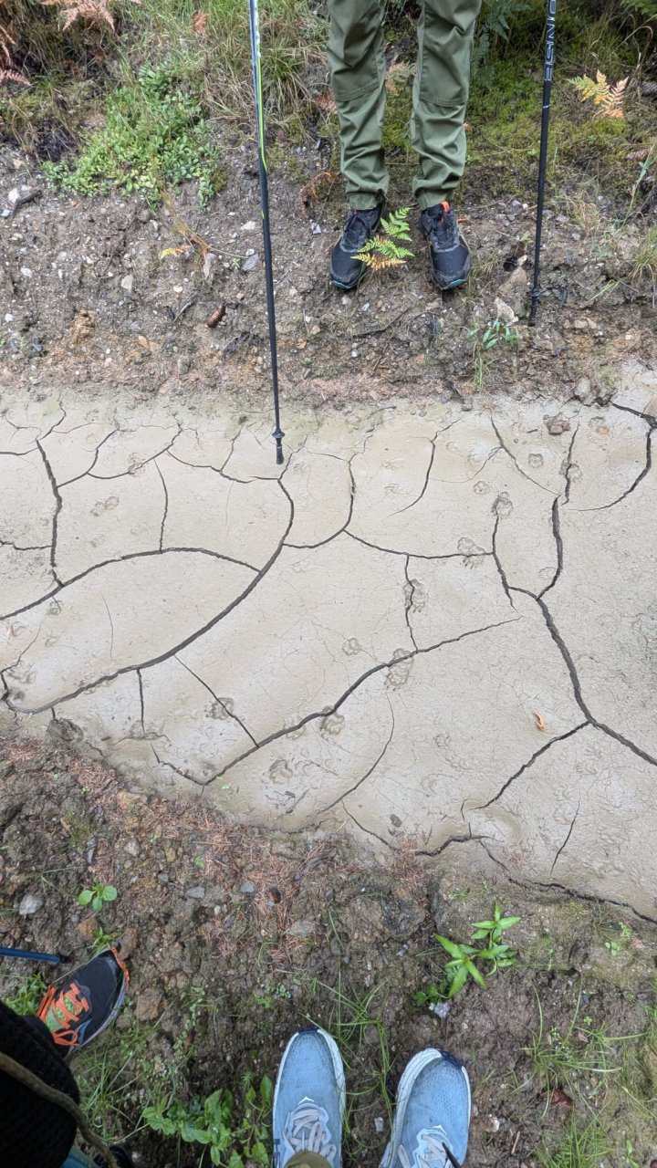 Wildnis-& Naturpädagogik