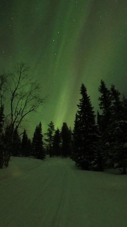 Polarlichter