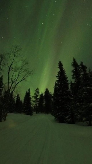 Polarlichter
