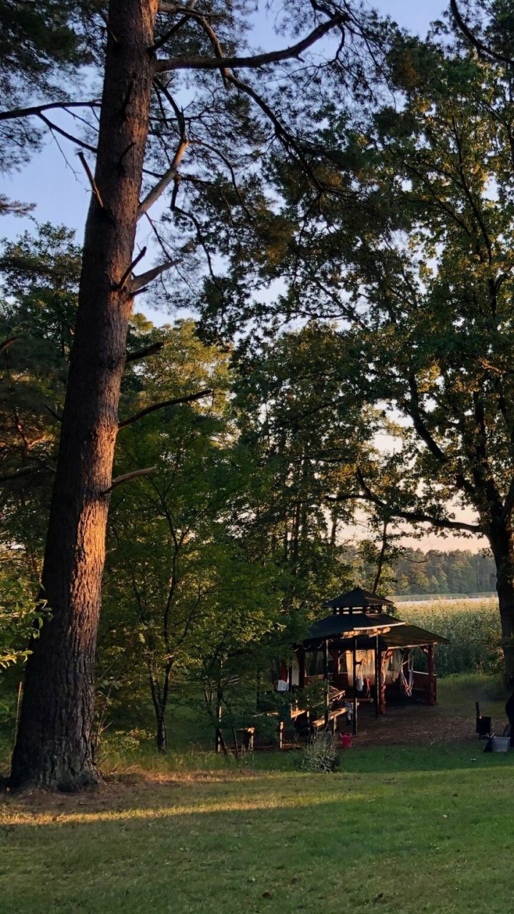 Wildnisplatz am Silbersee
