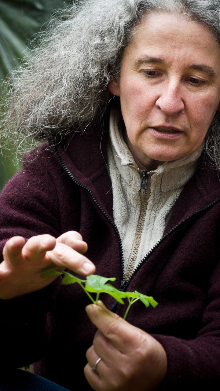 Fühlen - Riechen - Betrachten