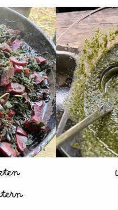 Kochen in der Jahreszeit