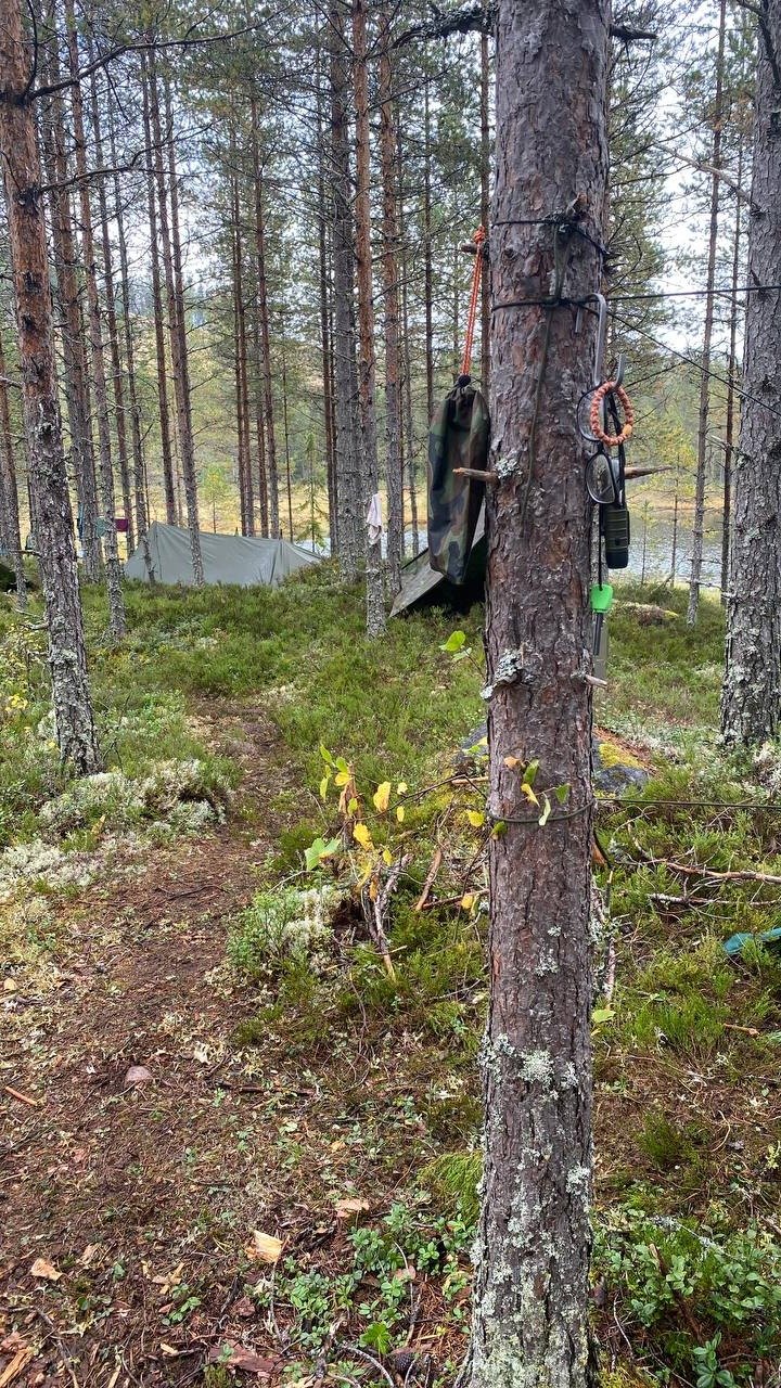 Nie lang an einem Platz