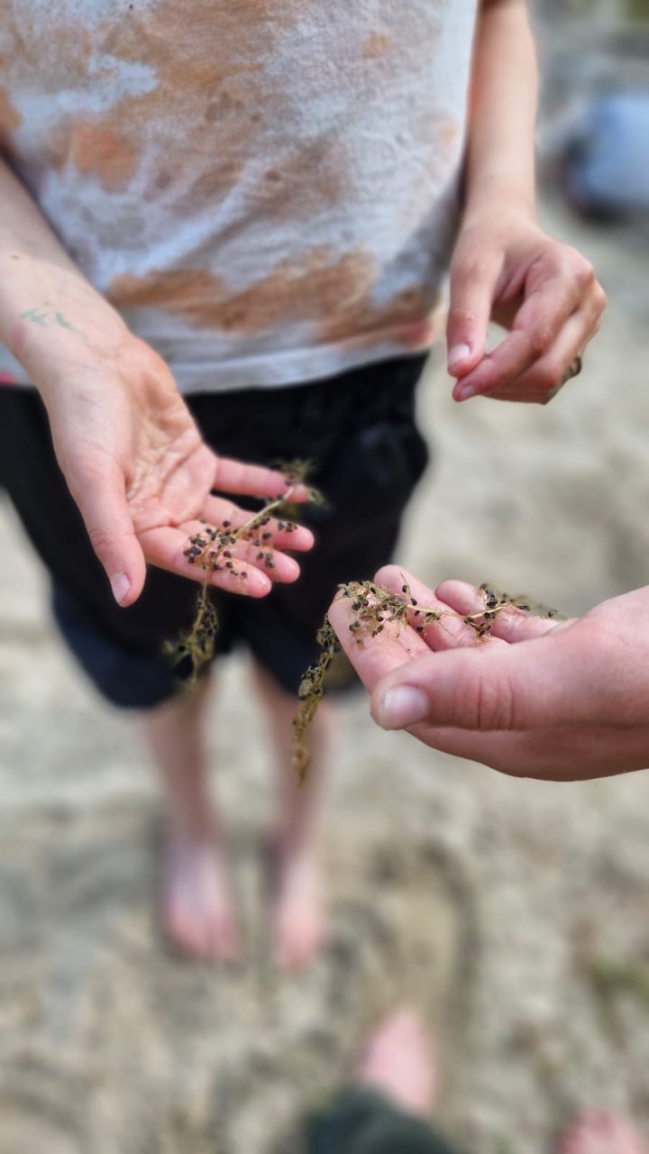 Naturerlebnisse schaffen