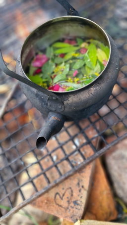 wild kochen