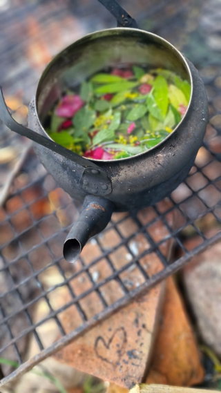 wild kochen
