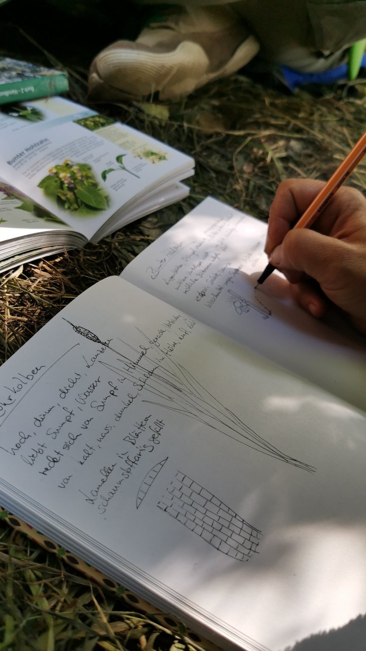 Natur als Lehrmeisterin